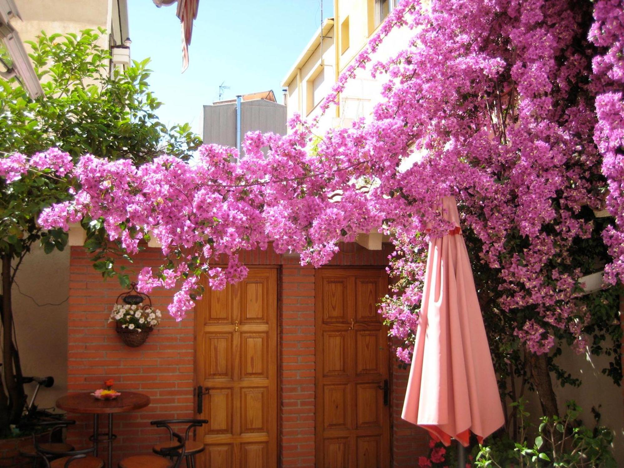 Pension Casa Austria Calella Exteriör bild